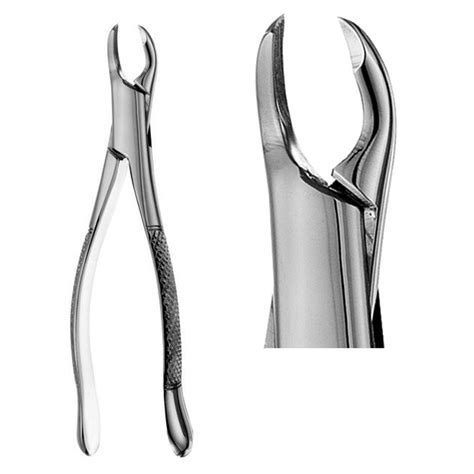 Extracting Forcep American Pattern Lower Anterior Premolar Fig 151A