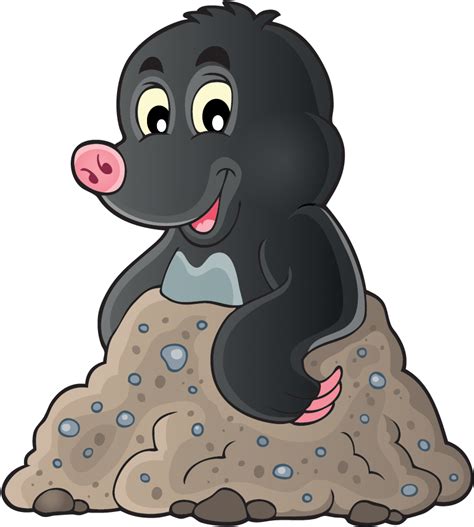 Mole Animal Transparent Image Png Play