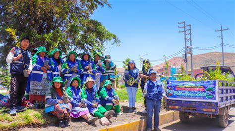 Municipalidad De San Rom N Realiza Una Campa A De Arborizaci N En La