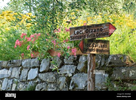 Hiking trail, Lake Iseo, Lago d'Iseo, Iseosee, Italy. Monte Isola Stock Photo - Alamy