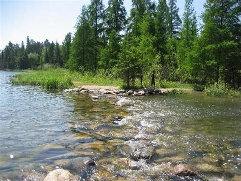 Itasca State Park The Actual Birth Of The Mississippi River State