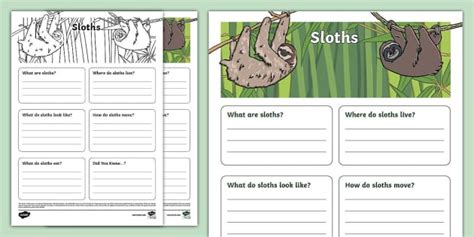 Ks Sloth Fact File Template Hecho Por Educadores Twinkl