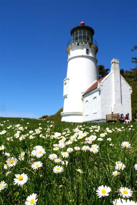 Heceta Head Lighthouse And Flowers Lighthouses In Oregon Beautiful