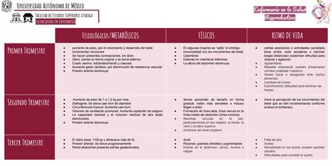 Solution Cambios Trimestrales En El Embarazo Cuadro Comparativo