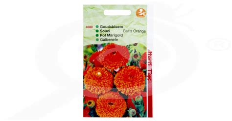 Ringelblume Calendula Officinalis Kugeln Orange G Saatgut