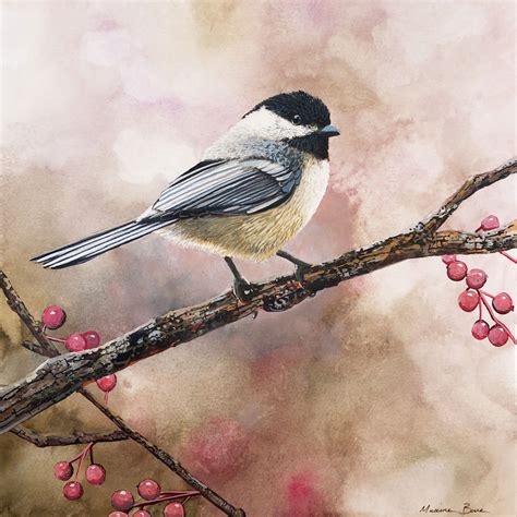 Black Capped Chickadee Watercolor Painting By Artist Maxine Bone