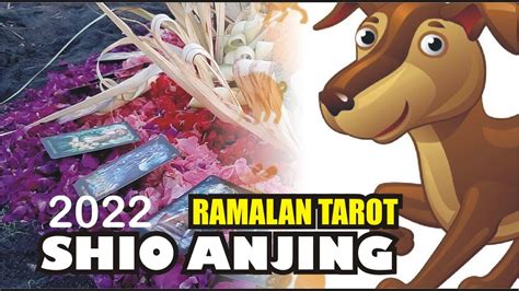 Shio Anjing Tahun 2022 Ramalan Tarot Peruntungan Keuangan Asmara