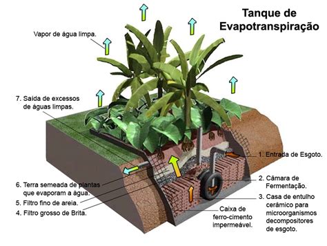 Como tratar o esgoto de forma ecológica ECOAGRI