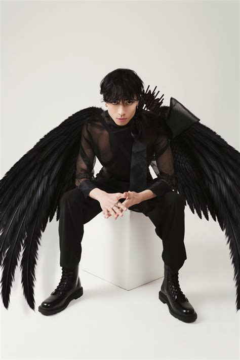 Black Swan Costume Wings