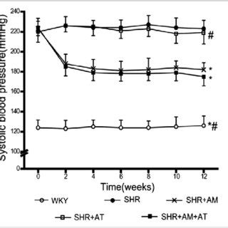 Effects Of Amlodipine Atorvastatin And Their Combination On Blood