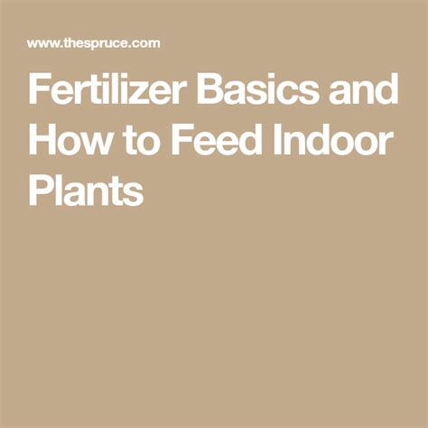 Houseplant Fertilizer Basics How And When To Feed Houseplants Artofit