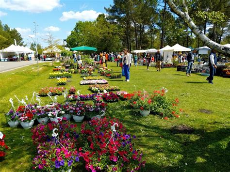 Pessac Grosse Affluence Pour La E Dition Du Printemps Du Bourgailh