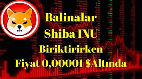 Kripto Sesli Haber Balinalar Shiba INU Yu Biriktirirken Fiyat 0 00001