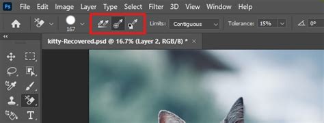 Guide D Utilisation De L Outil Gomme Dans Photoshop