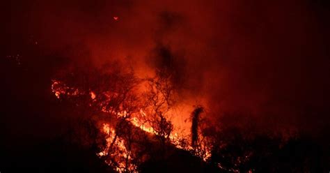 ¡emergencia 120 Incendios Forestales Activos En México La Verdad