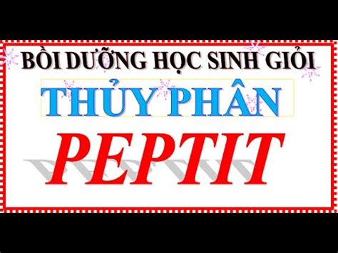 Hỗn hợp X gồm 3 peptit A B C đều mạch hở có tổng khối lượng là m và