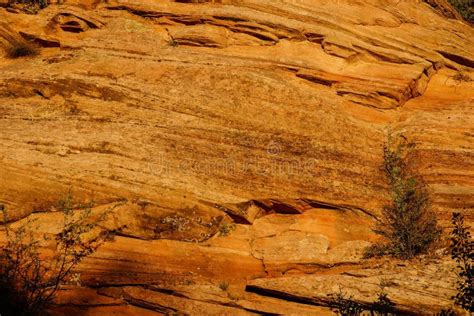 Detail of Sedimentary Sandstone Layers Stock Photo - Image of park ...