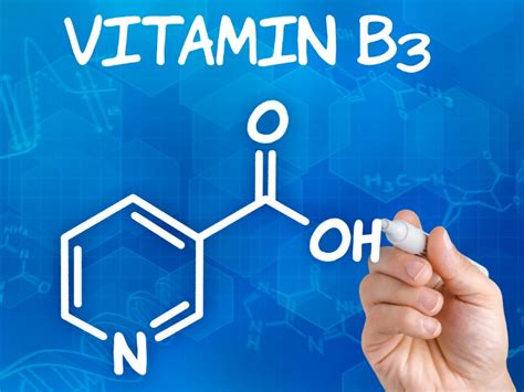 Inilah 18 Manfaat Vitamin B3 Untuk Tubuh Manusia