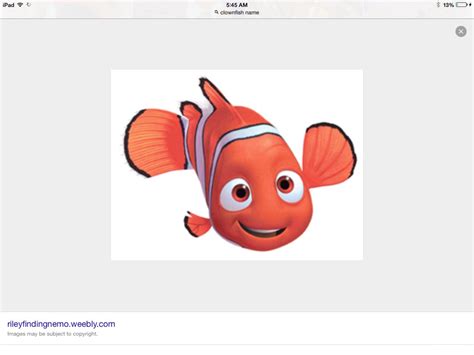 Image Nemo Finding Nemo Fanon Wiki Fandom Powered By Wikia