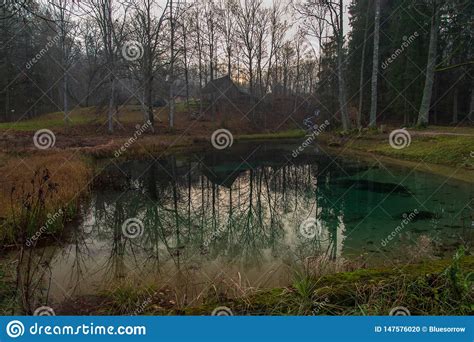 Reflexiones De Los Rboles De La Orilla En El Agua Tranquila De Un Lago