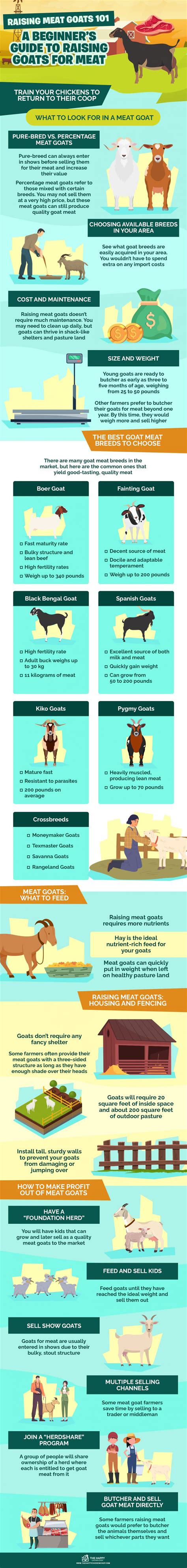 Raising Meat Goats 101 A Beginners Guide To Raising Goats For Meat