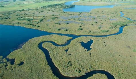 Río Orinoco La Guía De Geografía