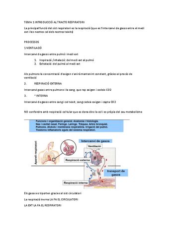 Tema Fisio Iii Pdf