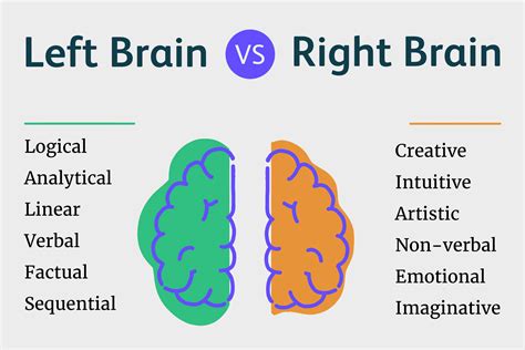 What It Means To Be Left Brained Vs Right Brained