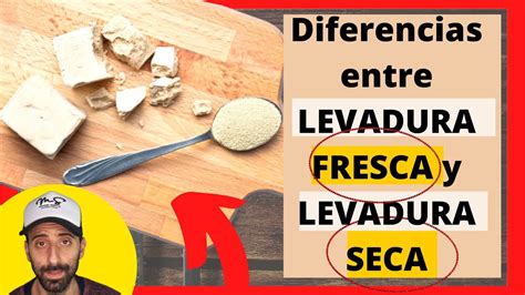 Diferencia Entre Levadura Fresca Y Seca Para Hornear Paco Jimenez