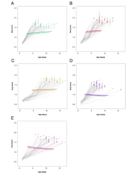 2 PMRNs And Their Consequences For Age And Size At Maturity In 5