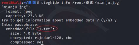 CTF 隐写工具Steghide ctf steghide CSDN博客