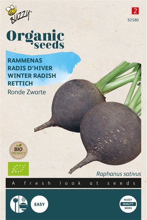 Rettich Runder Schwarzer Winter Bio Rettichsamen Von Buzzy Seeds