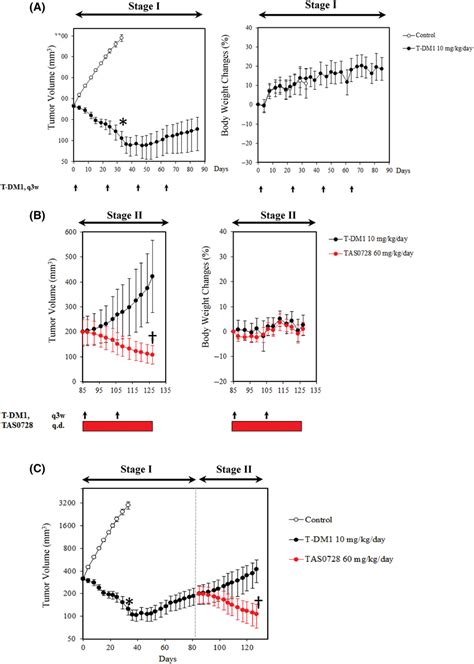 Tumors with acquired resistance to T‐DM1 were vulnerable to TAS0728. A ...