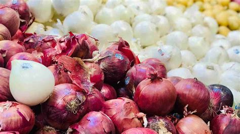 Cuáles son las Diferencias entre la Cebolla Morada y la Blanca y la