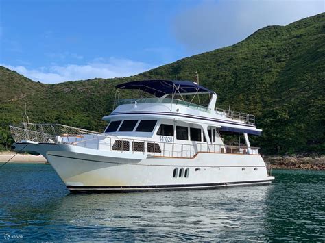 lawatan melihat pink dolphin klook amerika syarikat