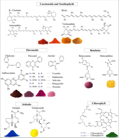 Genipap A New Perspective On Natural Colorants For The Food Industry