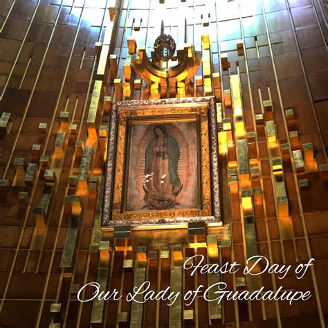 Feast Day Of Our Lady Of Guadalupe St Vincent De Paul Chicago