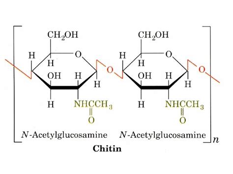 Chapitre 11 Sucres Et Polysaccharides 1 Les Monosaccharides