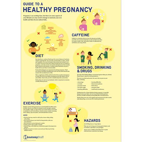 Guide To A Healthy Pregnancy Poster Antenatal Education Chart