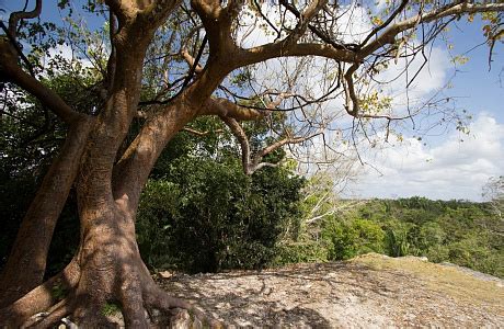 Бенин — подробная информация о стране