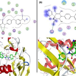 Representation Of The D And D Binding Modes Of A Co Crystallized