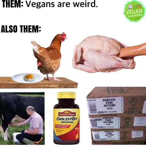 Jokes That Are Way Too Real If You Re A Vegan Artofit