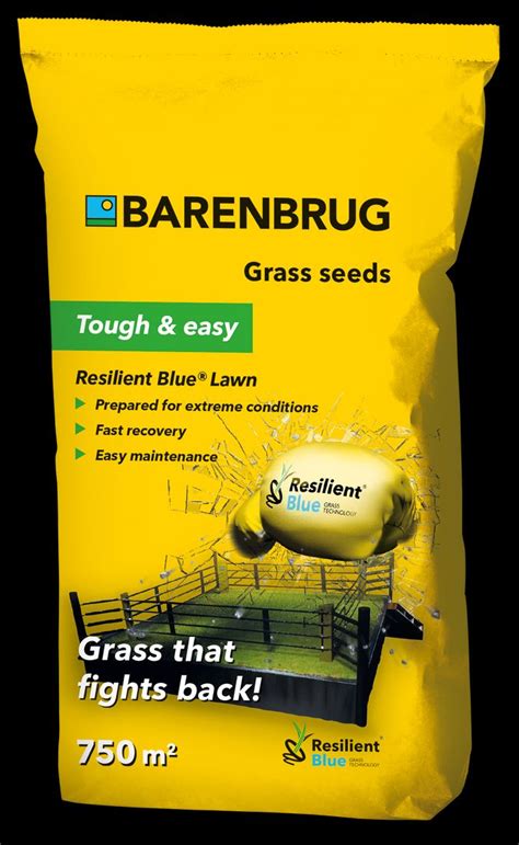 Barenbrug Trawa Resilient Blue Lawn 15kg ERLI Pl