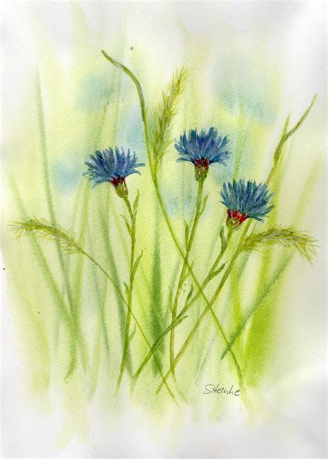 Cornflowers Original Watercolour Painting Etsy In Watercolor