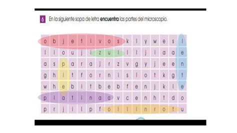 6 En La Siguiente Sopa De Letras Encuentra Las Partes Del Microscopio