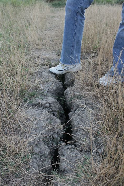 Cracked,earth,drought,field,grass - free image from needpix.com