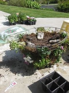 Hanging Flower Baskets How To Plant A Haning Basket