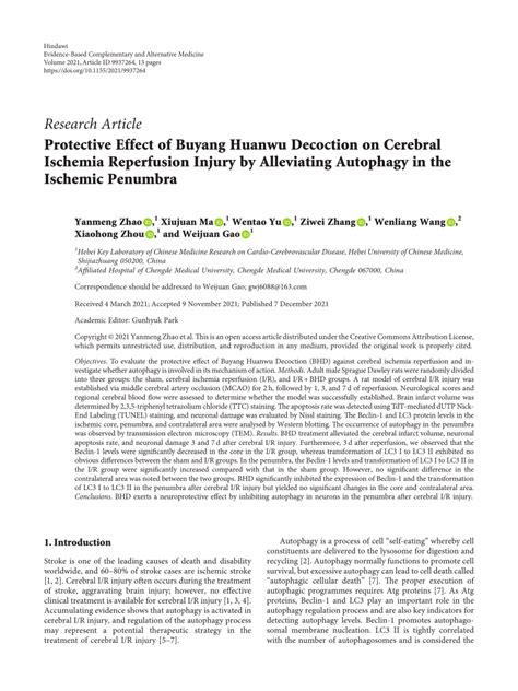 PDF Protective Effect Of Buyang Huanwu Decoction On Cerebral Ischemia