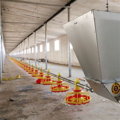 Broiler Poultry Feeding Equipment For Chicken House