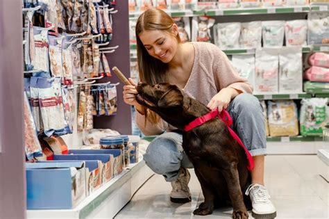 Como Abrir Um Pet Shop A Import Ncia De Abrir Cnpj Para Banho E Tosa E